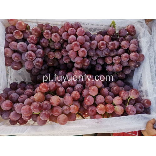 Obniżka cen winogron Yunnan